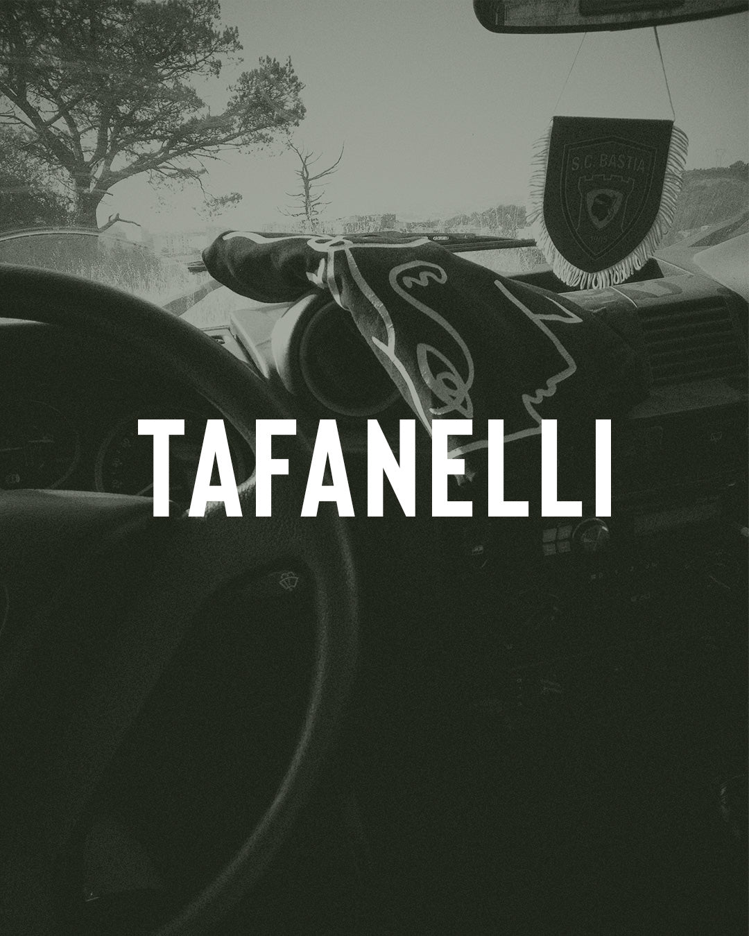 Le maquis corse : le parfum, la symbolique et l'esprit de résistance d'une île