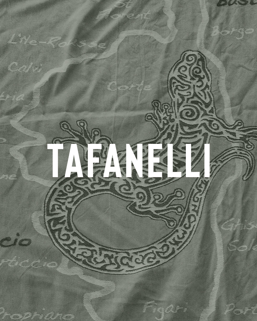 Le gecko corse : la tarente, sentinelle des murs de l'île