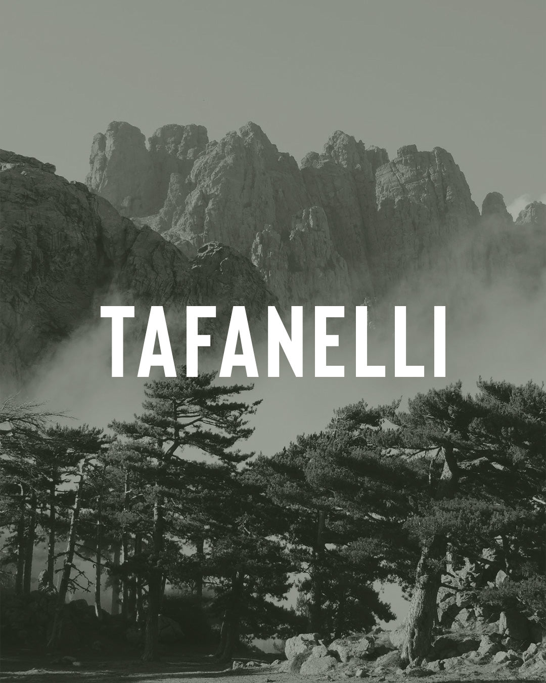 Bavella et ses Aiguilles : guide complet 2026