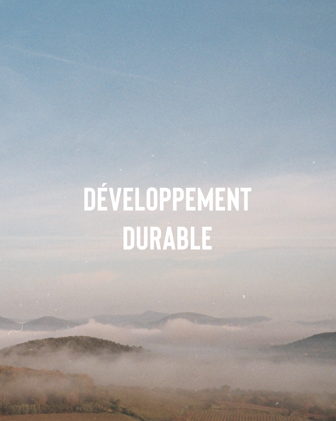 Développement durable