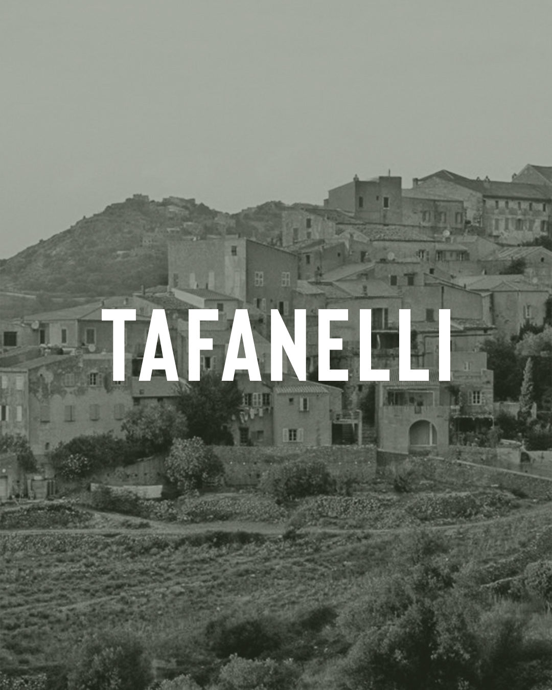 Pigna, le village d'artisans de Balagne : guide complet d'un joyau ressuscité