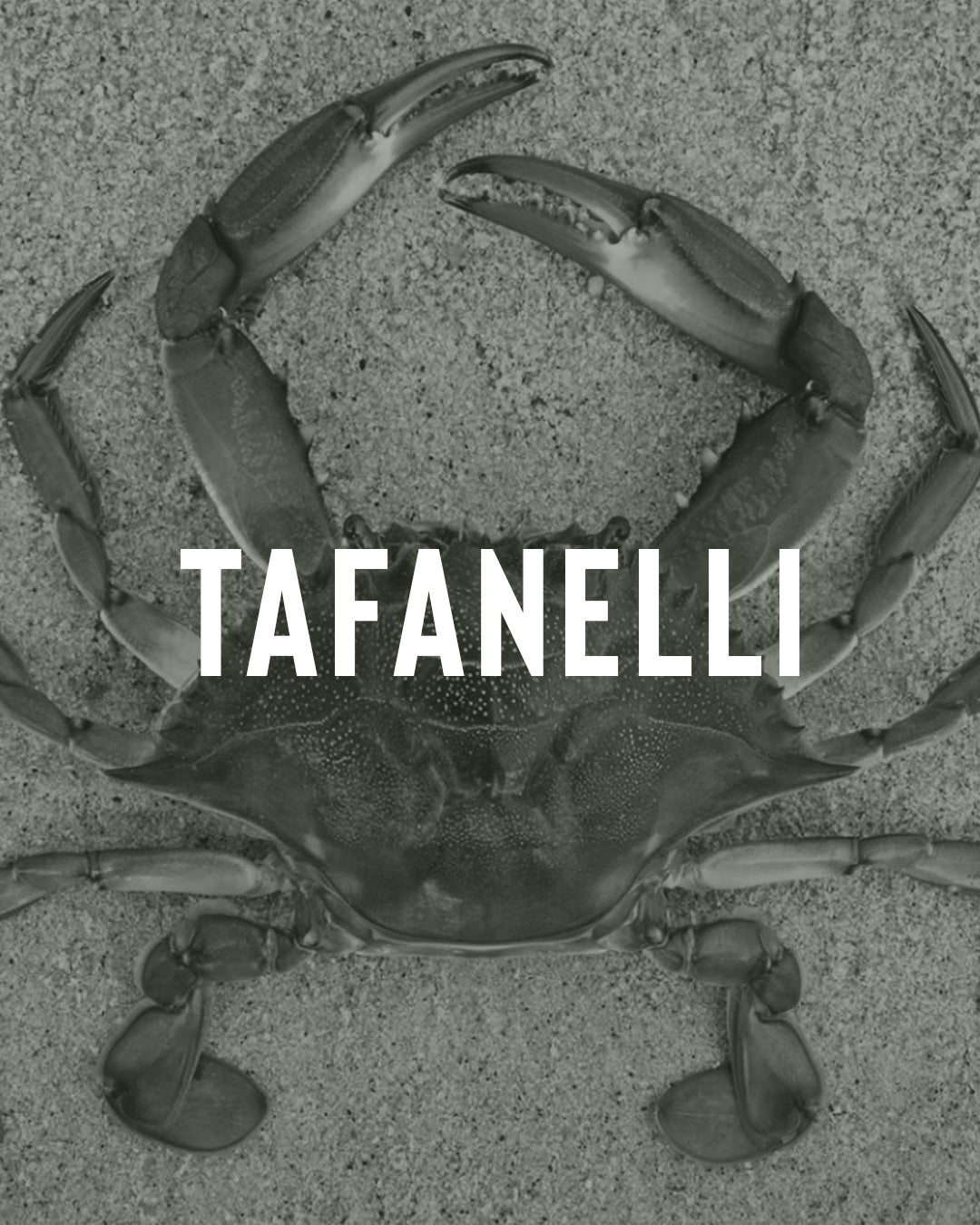 Le crabe bleu en Corse : l'étang de Biguglia et l'invasion qu'on ne sait pas arrêter